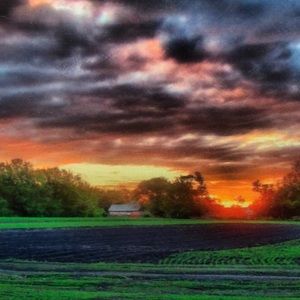 Meet your Posher, Edward